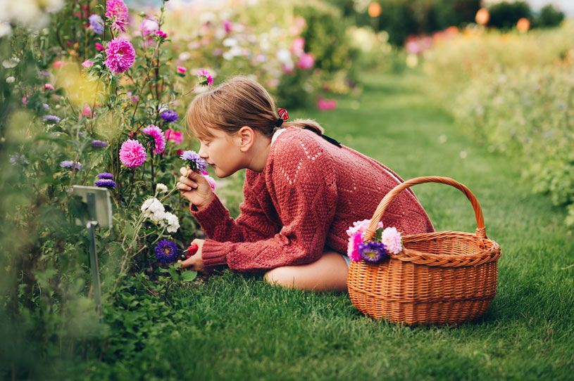 Dziewczynka wąchająca kwiaty w ogrodzie